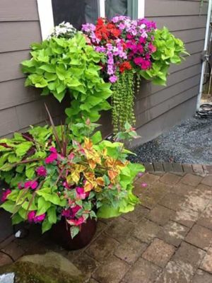 Window Planters with Beautiful Flowers Add European Charm to Exterior ...