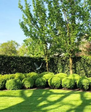 Gorgeous Lawns, Yard Landscaping Tips to Maintain Beautiful Grounds