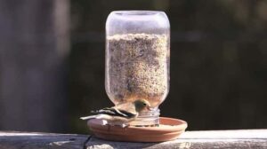 Bird Feeders and Birdhouses, 55 DIY Outdoor Home Decor Ideas for Winter ...