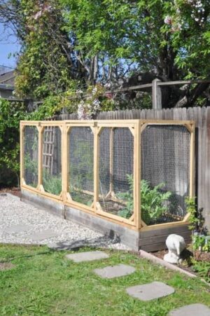 50 Raised Garden Beds Built with Wood, Practical Garden Designs