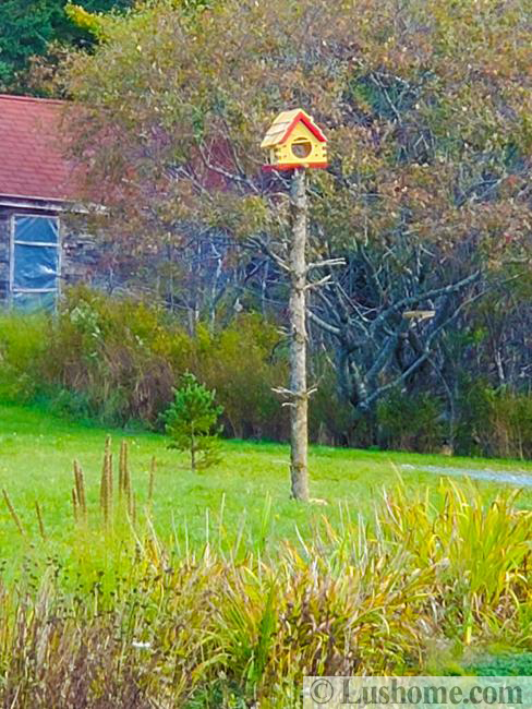 colorful birdhouse