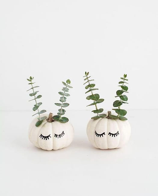 white pumpkins black eyes green branches