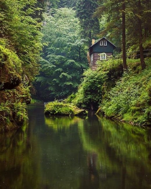 forest cabin