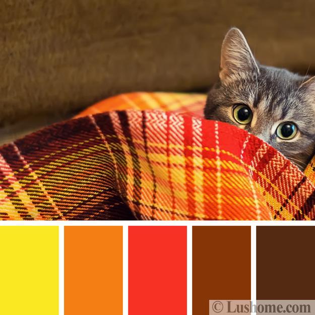 cat warm blanket yellow red colors